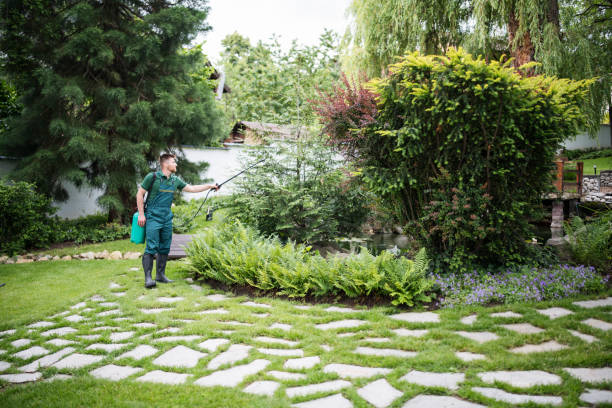 Best Bird Control  in Swarthmore, PA