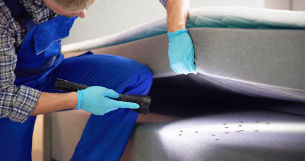 Pest Prevention Services in Swarthmore, PA